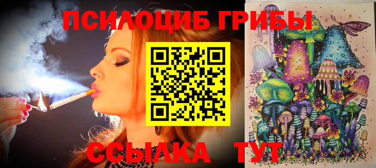 Псилоцибиновые грибы Magic Shrooms  Вход с VPN  Галлюциногенные грибы Magic Shrooms  как найти закладки  Конаково 