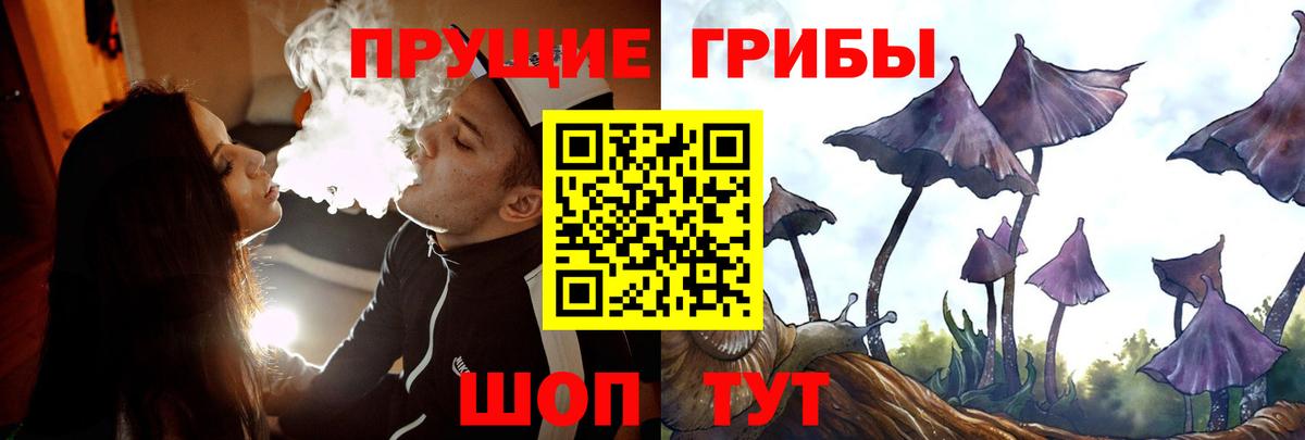Галлюциногенные грибы MAGIC MUSHROOMS Конаково